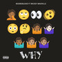 Why (Explicit)