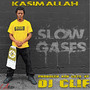 Slow Gases