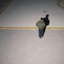 Not Hearts Down (Explicit)