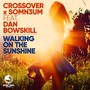 Walking on the Sunshine(Extended Mix)