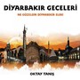 Diyarbakır Geceleri (Ne Güzeldir Diyarbekir Elleri)