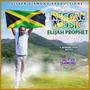 Reggae Music (Explicit)