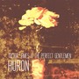 Huron