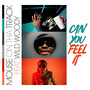 Can You Feel It (feat. Wild Woody) [Explicit]