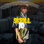Skrill To G8Z (Explicit)