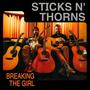 Breaking the Girl (feat. Andy Thorn & Jon Stickley)