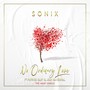 No Ordinary Love: The Maxi Single