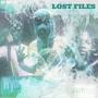 LOST FILES (Explicit)