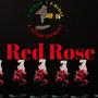 Red Rose (Beat)