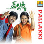 Pallakki (Original Motion Picture Soundtrack)