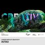 Intro | Poland. Landscapes of creativity | EXPO 2020 Dubai