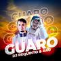 Guaro (feat. Rau)