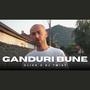 Ganduri Bune (feat. DJ Twist)