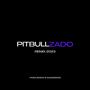 PITBULLZADO VERSÃO 2023 (feat. Andrey Sucessada) [Explicit]