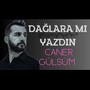 dağlara mı yazdın