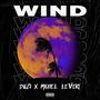 Wind (feat. Michel LeVert) [Explicit]