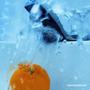 clementines
