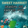 Grandma Got Knocked over by a Big Wave