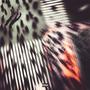 THE OBSERVERS : PHASE ONE (Explicit)