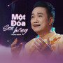 Một Đoá Sen Hồng