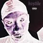 hostile (feat. kkslyder) [Explicit]