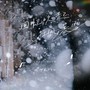 回忆吹起狂风暴雪