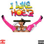 I Like Hoez (feat. Chapo Guapo) [Explicit]