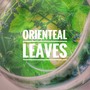 Oriental leaves (Original mix)