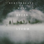 After The Storm (Radio Edit)