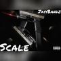 scale (Explicit)