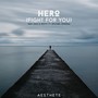 Hero (Fight For You)