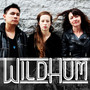 Wild Hum