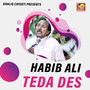 Teda Des