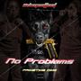 No Problems (Explicit)