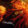 Caudal