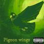 Pigeon Wings (Explicit)