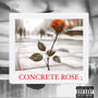 CONCRETE ROSE (Explicit)