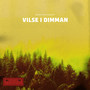 Vilse I Dimman