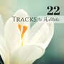 22 Tracks to Meditate - Spiritual New Age Music for Buddhist Practice