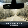 1.000 km