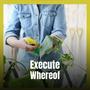 Execute Whereof