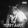 The MINOTAURE (Explicit)