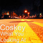 What You Looking At (Explicit)