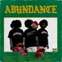 Abundance (Explicit)