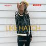 Like hatch (Explicit)