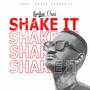 Shake it (Explicit)