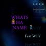 WHATS HA NAME (feat. WLY) [Explicit]