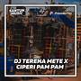 DJ TERENA METE X CIPERI PAM PAM