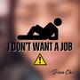 I Don't Want A Job (Explicit)