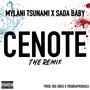 Cenote 2 (feat. Sada Baby) [Explicit]